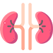 Hemodialysis (OPD)